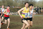 Senior men, 2020 British Athletics Inter Counties Cross Country Champs., Prestwold Hall, Loughborough. Photo: David T. Hewitson/Sports for All Pics